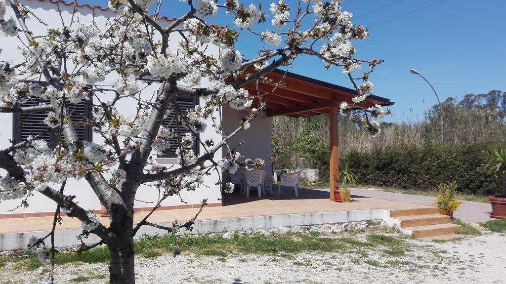 B&B Arcafelice Termoli Eksteriør bilde